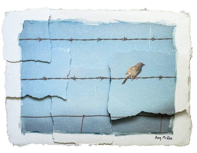 Bird On A Wire