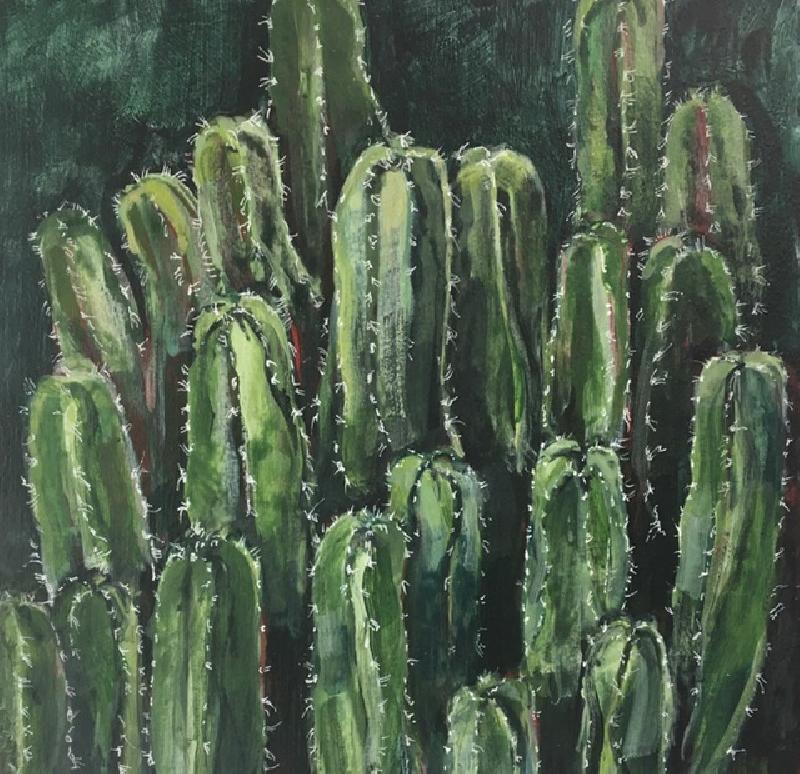 Silver Lake Cactus #1