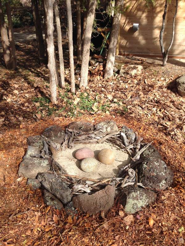 Cretaceous Nest