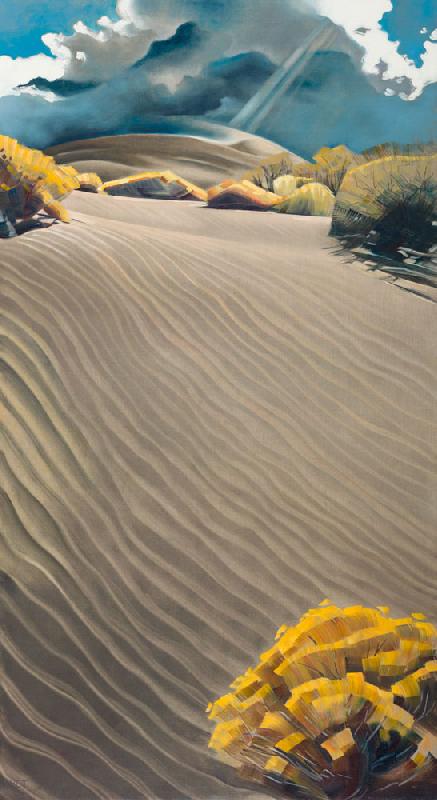 Portal - Bruneau Sand Dunes